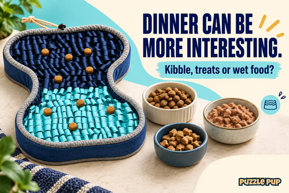 Editorial cover: DINNER CAN BE MORE INTERESTING. Kibble, treats or wet food?