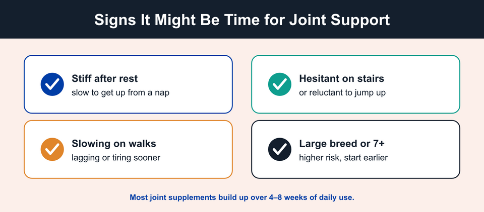 Checklist of seven early signs a dog may need mobility formula
