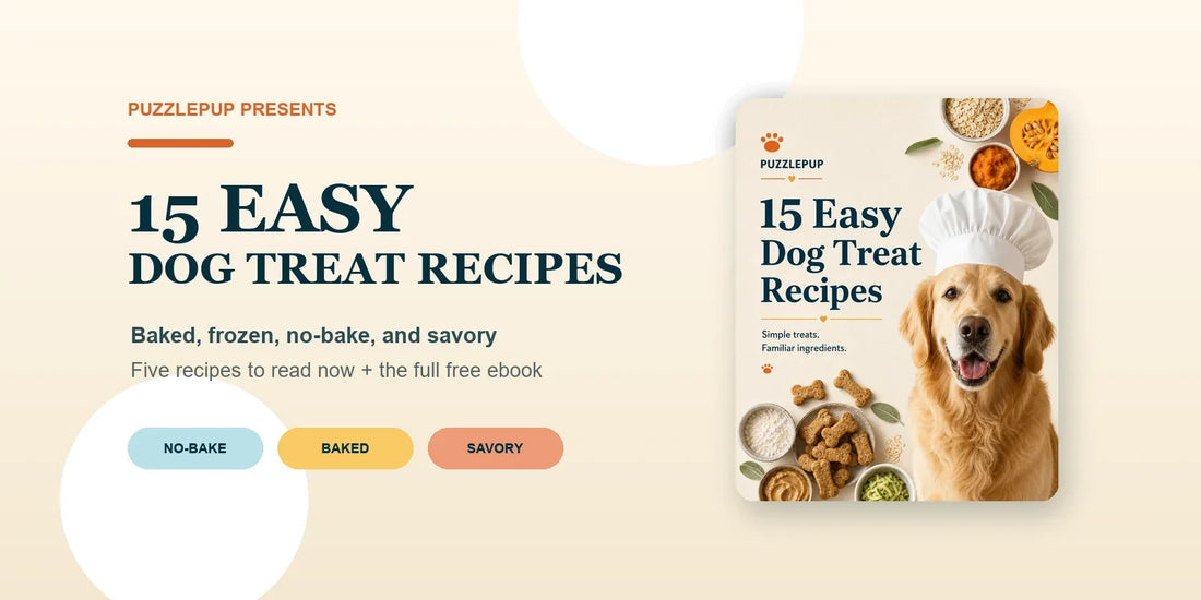 Fifteen easy homemade dog treat recipes with a golden retriever chef