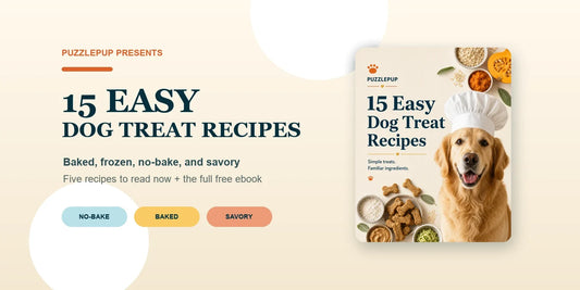Fifteen easy homemade dog treat recipes with a golden retriever chef