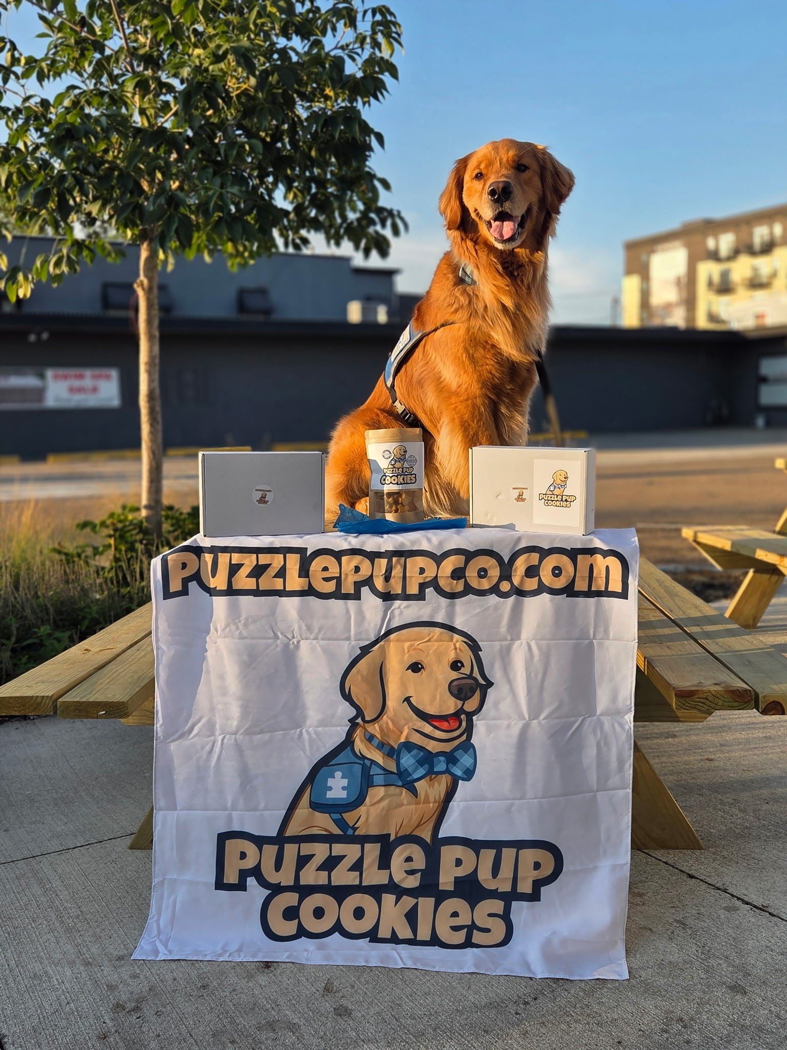 PuzzlePup Pumpkin Peanut Butter Dog Cookies – All-Natural Homemade Treats | Minnesota-Made Small Batch Dog Snacks