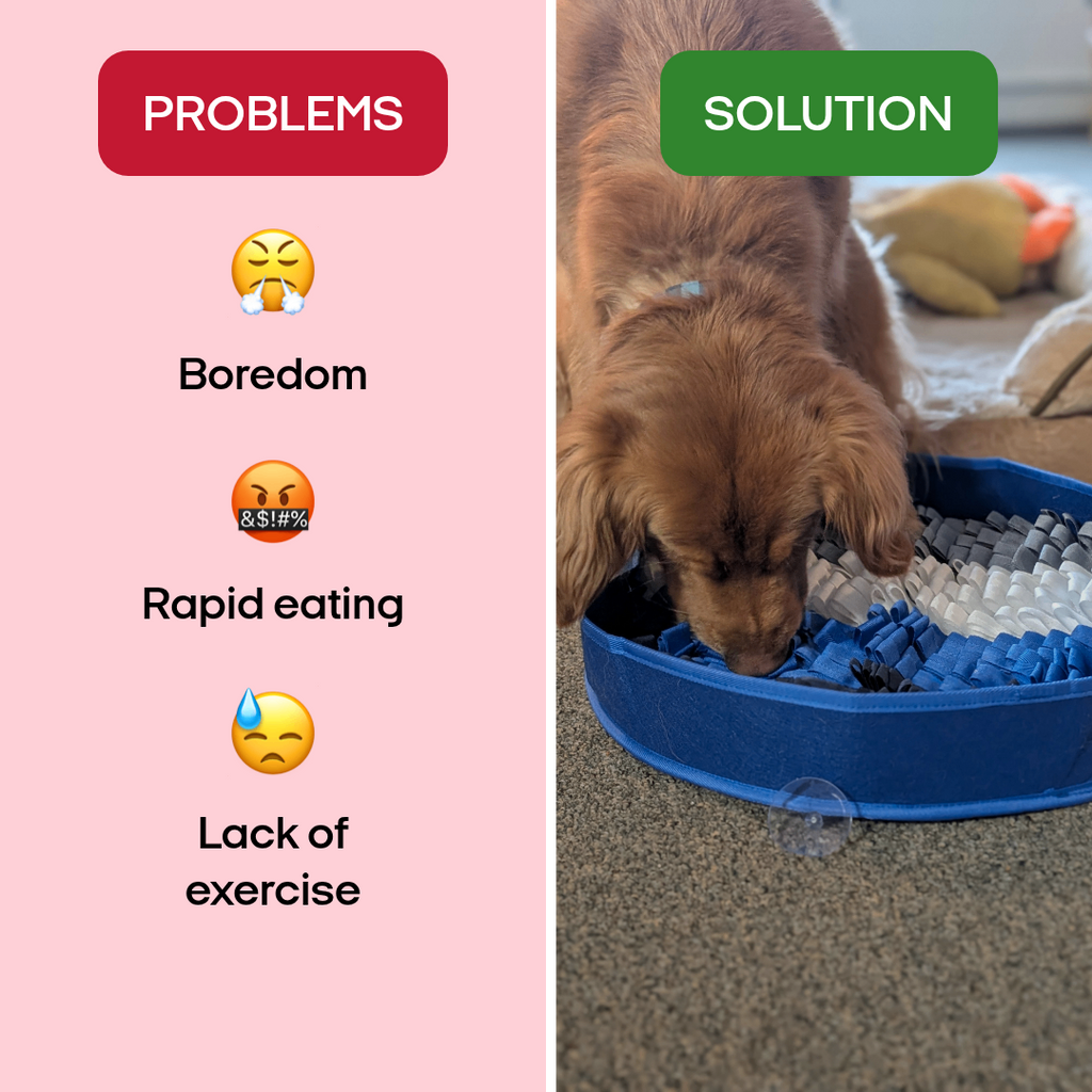 PuzzlePup Smart Snuffle Mat - A smarter way to feed and enrich your dog.