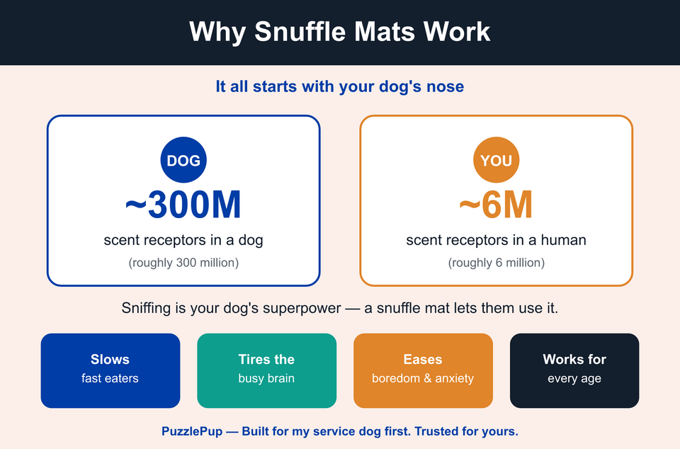 Infographic comparing dogs' powerful sense of smell with humans and showing snuffle mat benefits