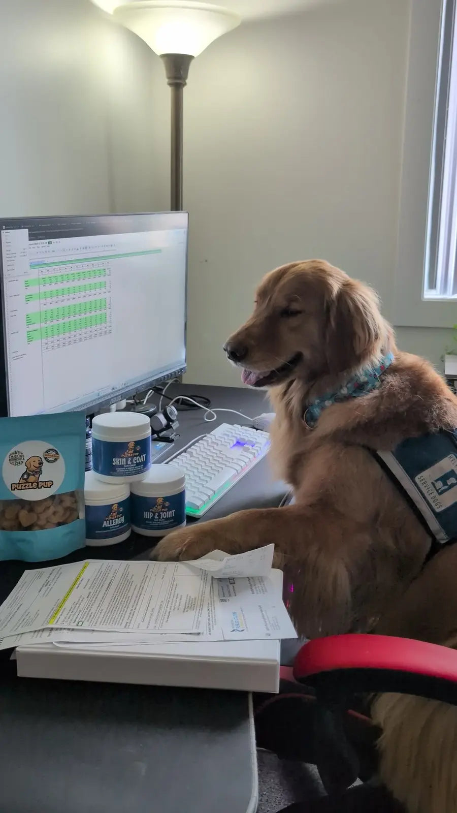 Normie at the PuzzlePup office beside the daily products he inspired