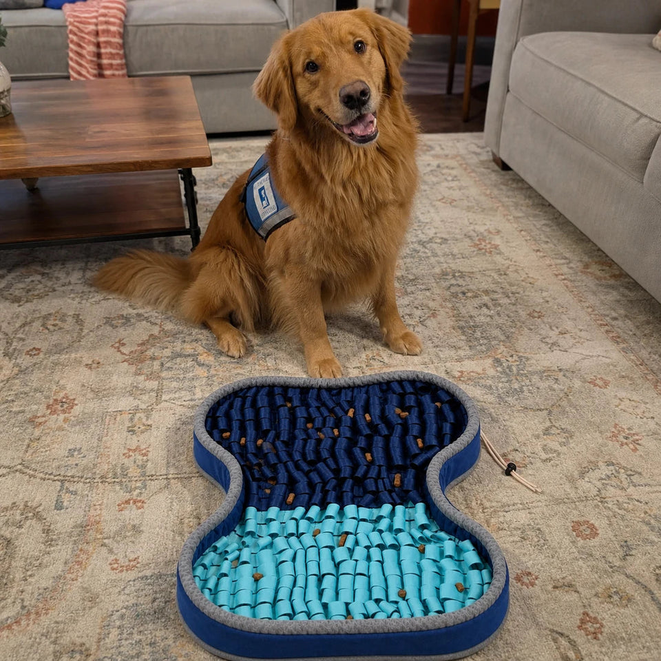 Candid phone photo of Normie using the PuzzlePup Snuffle Mat at home