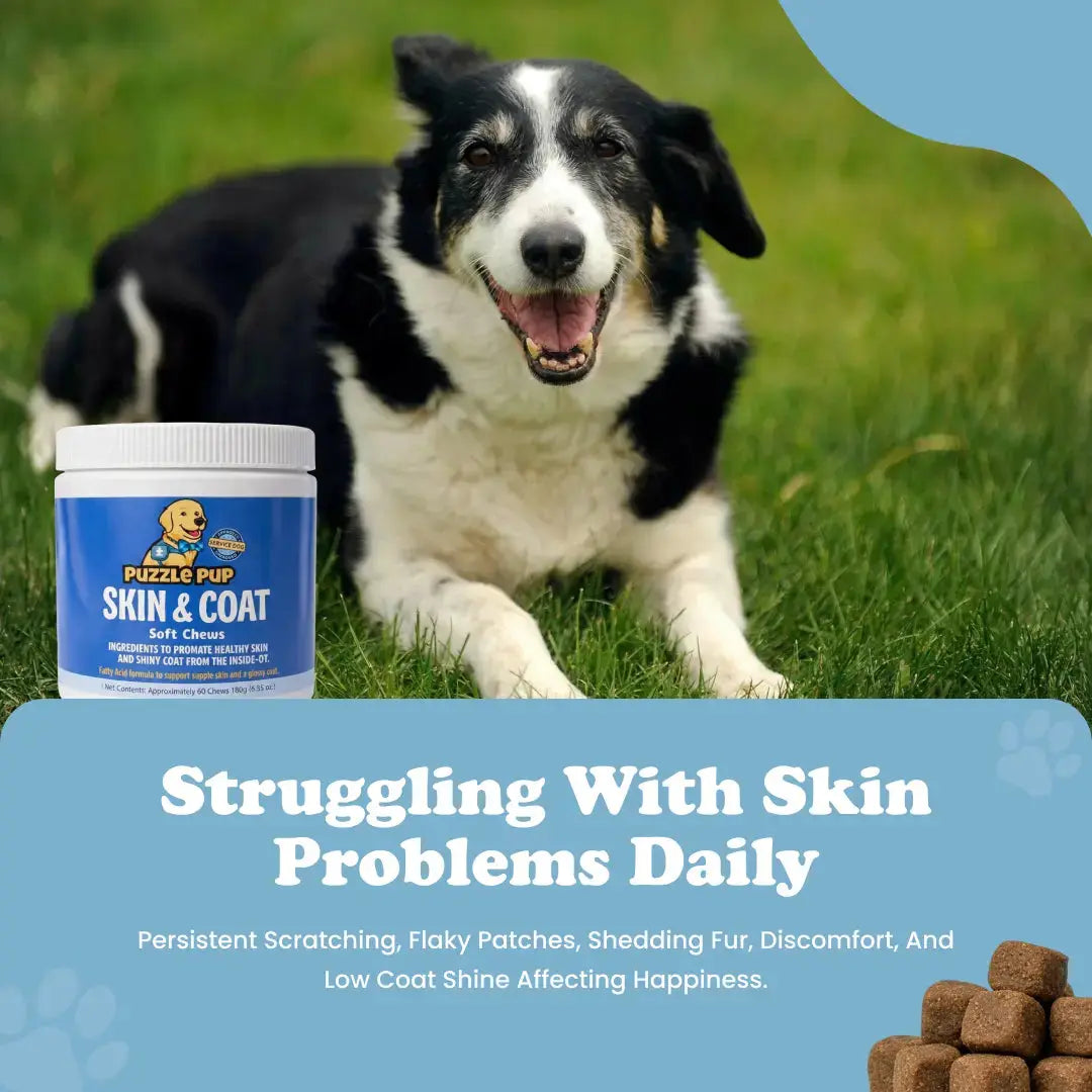 PuzzlePup Soft Chews: Shiny Coat Boost!