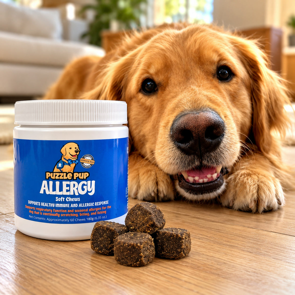 PuzzlePup Allergy Soft Chews jar with real chews next to Normie, a golden retriever service dog