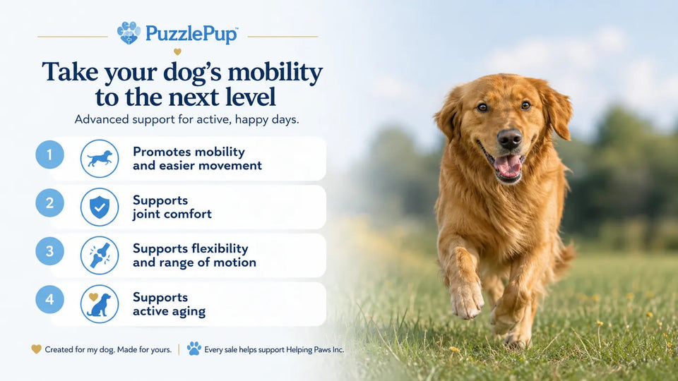 Complete PuzzlePup Hip and Joint mobility graphic for everyday movement