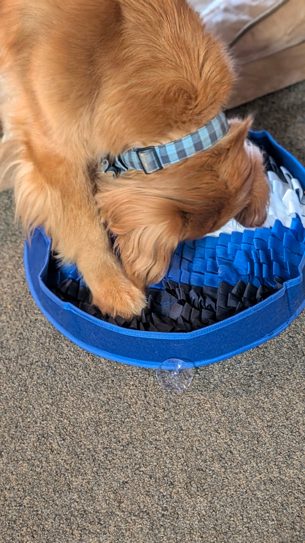 PuzzlePup Smart Snuffle Mat - A smarter way to feed and enrich your dog.