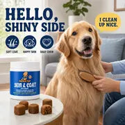 Two jars of Skin & Coat Soft Chews package choice